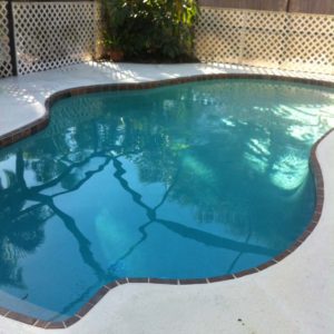 Pool Restoration (83)